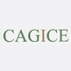 CAGICE (CABINET D'ASSISTANCE EN GESTION INFORMATIQUE ET COMPTABLE DES ENTREPRISES)